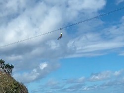 Viral Turis Bergelantungan gegara Flying Fox di Diamond Beach Macet