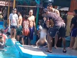 Viral Aksi Penyelamatan Bocah Tenggelam di Kolam Renang Tirta Ria Jombang
