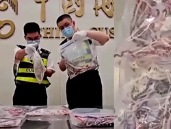 Cerita Pria Ketahuan Bawa 104 Ular Hidup di Celana Dalamnya