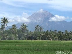 Semeru 2 Kali Erupsi Pagi Ini, Ketinggian Letusan hingga 700 Meter