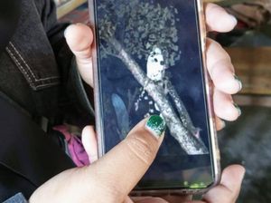 Suro dan Ilmu Hitam di Balik Penampakan Pocong Situbondo Suro dan Ilmu Hitam di Balik Penampakan Pocong Situbondo
