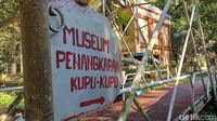 Potret Penangkaran Kupu-kupu di Kawasan Bantimurung Maros yang Dikritik Jokowi