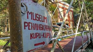 Potret Penangkaran Kupu-kupu di Kawasan Bantimurung Maros yang Dikritik Jokowi