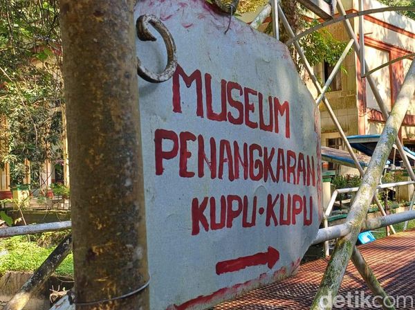 Potret Penangkaran Kupu-kupu di Kawasan Bantimurung Maros yang Dikritik Jokowi