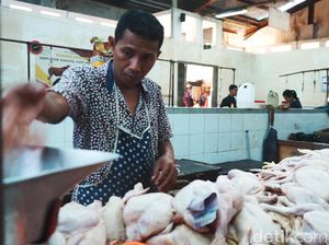 Harga Ayam Potong Turun Drastis, Minat Beli Turun Usai Lebaran Harga Ayam Potong Turun Drastis, Minat Beli Turun Usai Lebaran