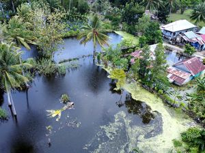 2.765 Hektare Lahan Pertanian di Gorontalo Kebanjiran 2.765 Hektare Lahan Pertanian di Gorontalo Kebanjiran