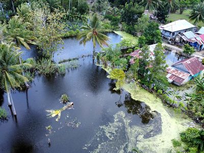 2.765 Hektare Lahan Pertanian di Gorontalo Kebanjiran