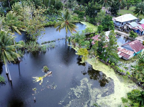 2.765 Hektare Lahan Pertanian di Gorontalo Kebanjiran