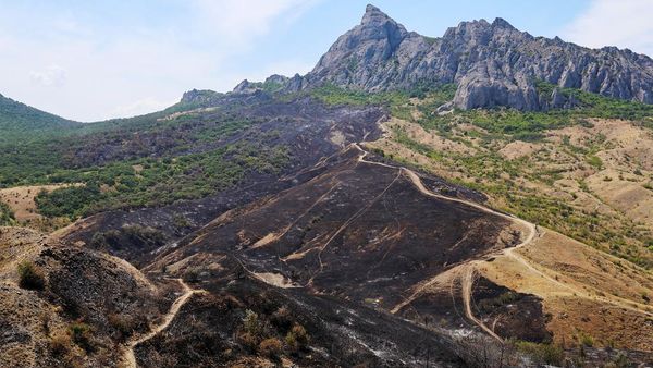 Potret Hutan di Krimea Gosong Usai Dilalap Api