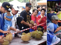 Promo AYCE Durian Rp 35 Ribu Dihentikan Usai 17 Ton Durian Ludes