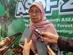Negara ASEAN Kolaborasi Bahas Strategi Pengelolaan Ekosistem Mangrove