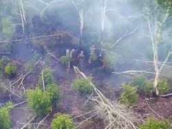 Api Sempat Padam, 15 Hektare Lahan di Ogan Ilir Kembali Terbakar