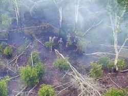 Api Sempat Padam, 15 Hektare Lahan di Ogan Ilir Kembali Terbakar