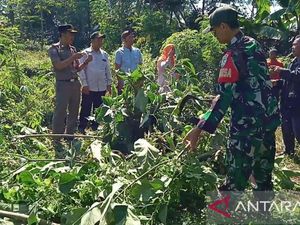 Pertolongan Pertama Tangani Orang Mabuk Kecubung