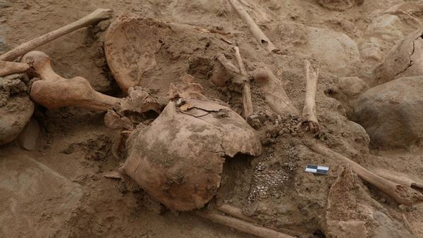 Penampakan Sisa-sisa Manusia Pra-Inca yang Digali di Situs Chan Chan Peru
