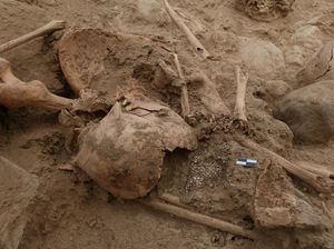 Penampakan Sisa-sisa Manusia Pra-Inca yang Digali di Situs Chan Chan Peru