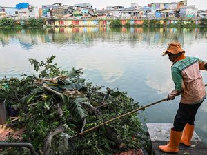 Penebangan Pohon Liar untuk Jaga Keindahan Waduk Sunter Selatan Penebangan Pohon Liar untuk Jaga Keindahan Waduk Sunter Selatan