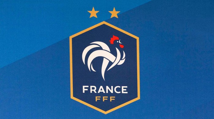 LILLE, FRANCE - OCTOBER 16: The logo of the French national team during a France press conference at the Stade Pierre Mauroy, on October 16, 2023, in Lille, France. (Photo by Craig Foy/SNS Group via Getty Images)