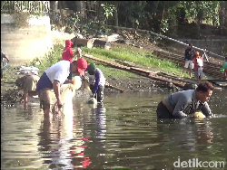 Serunya Warga Berburu Ikan Mabuk Belerang di Ranu Klakah Lumajang