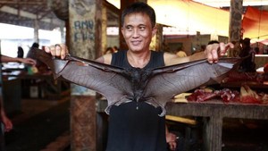 Dari Darah hingga Kelelawar, Ini 6 Kuliner Ekstrem Paling Nyeleneh di Asia