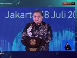 Airlangga Pamer Capaian 233 PSN Era Jokowi, Investasi Tembus Rp 6.246 T