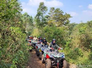 Membelah Hutan Taman Safari Prigen dengan ATV!