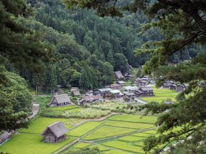 Tinggal di Pedesaan Jepang Dibayar Rp 500 Juta, Minat? Tinggal di Pedesaan Jepang Dibayar Rp 500 Juta, Minat?