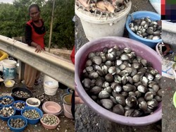 Heboh! Seafood Pinggir Jalan Dijual Murah agar Cepat Laris