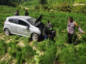 Sopir Tak Kuasai Medan, Ayla Terperosok ke Ladang di Boyolali