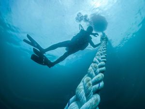 Usaha Melindungi Terumbu Karang di Raja Ampat