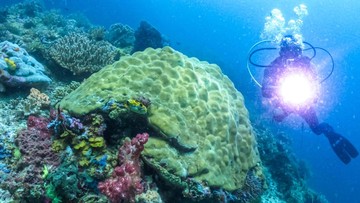 Ancaman Mengerikan Tambang Nikel di Raja Ampat