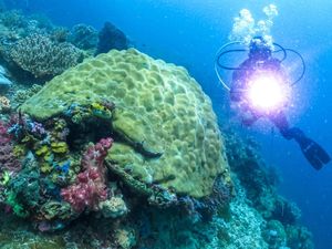 Ancaman Mengerikan Tambang Nikel di Raja Ampat Ancaman Mengerikan Tambang Nikel di Raja Ampat