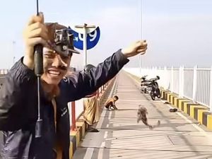 Polisi Sebut Viral 2 Pria Mancing di Suramadu Video Lawas: Sudah Lama Itu Polisi Sebut Viral 2 Pria Mancing di Suramadu Video Lawas: Sudah Lama Itu