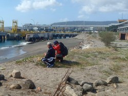 Penyeberangan di Selat Bali Ditutup Sementara gegara Cuaca Buruk