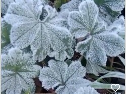 Embun Es Muncul di Puncak Merbabu, Suhunya 5 Derajat Celcius