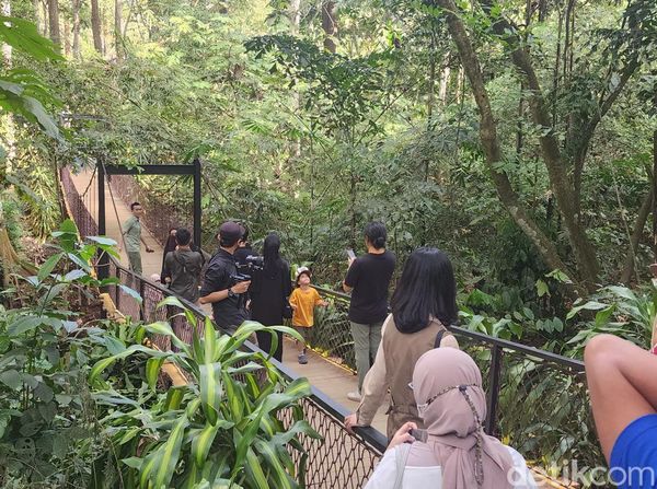 Susur Hutan Ramah Keluarga di Kaki Gunung Arjuno