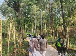Taman Safari Berencana Dirikan Tempat Rekreasi di IKN