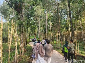 Cara Taman Safari Wujudkan Wisata Berkelanjutan dan Manfaatkan AI Cara Taman Safari Wujudkan Wisata Berkelanjutan dan Manfaatkan AI