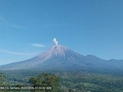 Gunung Semeru Erupsi Pagi Ini, Ketinggian Kolom Abu 800 Meter
