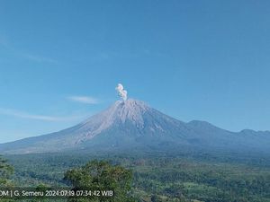 Gunung Semeru Erupsi Pagi Ini, Ketinggian Kolom Abu 800 Meter