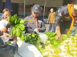 Kampus di Magelang Ini Borong Sayuran Petani yang Harganya Tengah Anjlok