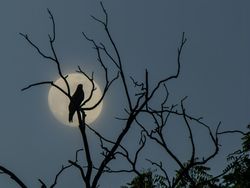 Dingin Jadi Teman Pengungsi Gempa di Kertasari Dingin Jadi Teman Pengungsi Gempa di Kertasari