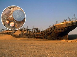 Kapal Hilang 5 Abad, Saat Ditemukan Penuh Koin Emas!