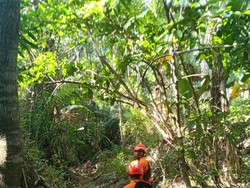 Wanita Lansia di Sikka Hilang Setelah Pamit ke Kebun