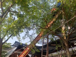 Karyawan Kafe di Bojonegoro Tewas Tersengat Listrik Saat Pangkas Pohon