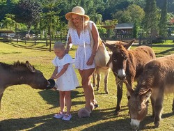 Liburan Seru di Bali Farm House: Tunggangi Kuda Poni-Piknik dengan Keledai