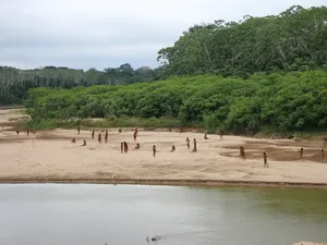 Suku Misterius Hutan Amazon Mendadak Menampakkan Diri, Ada Apa? Suku Misterius Hutan Amazon Mendadak Menampakkan Diri, Ada Apa?