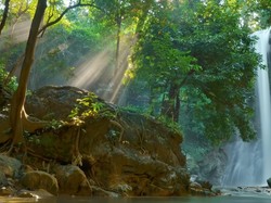 Air Terjun Widuri: Sejarah, Lokasi, Jam Buka, Harga, Daya Tarik