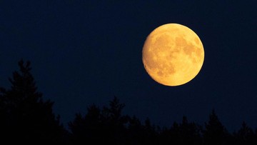 Ada Bulan Purnama Buck Moon Tanggal 10 Juli, Catat Waktunya!