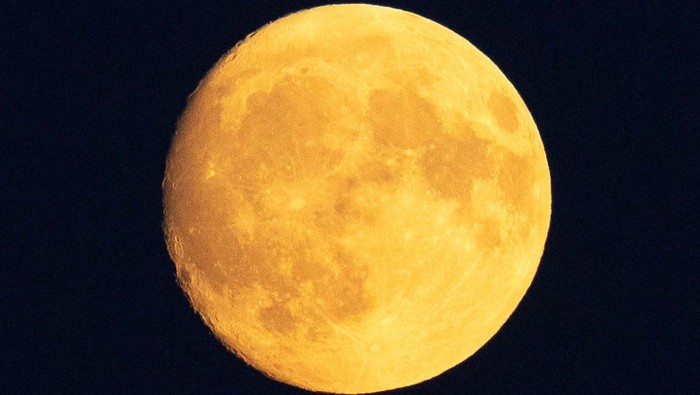 Nearly full moon known as the Buck Moon is seen above a lake near Marksewo, Poland, July 19, 2024. REUTERS/Kacper Pempel